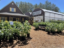 Green House