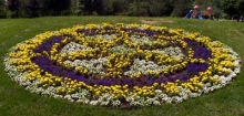O'Connell Park Rotary Wheel