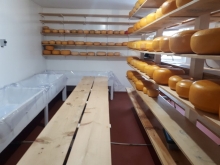 Cheese