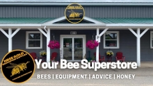 Bee