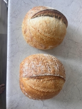 Bread