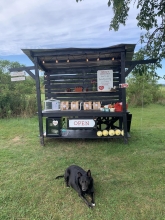 Plante Farm