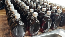 Maple Syrup