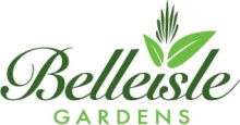 BG Logo
