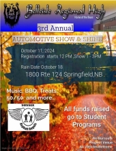 Automotive Show Shine
